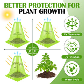VICAMB vented top mini greenhouse design supports airflow for healthy seedlings.