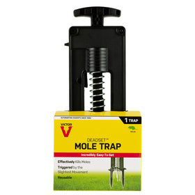 Victor deadset mole trap activator plate demonstrates precise soil placement