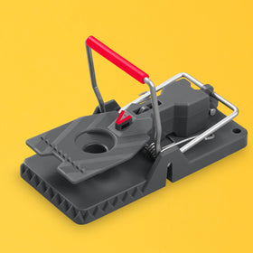Victor durable rodent-control trap pack for ongoing home pest management.