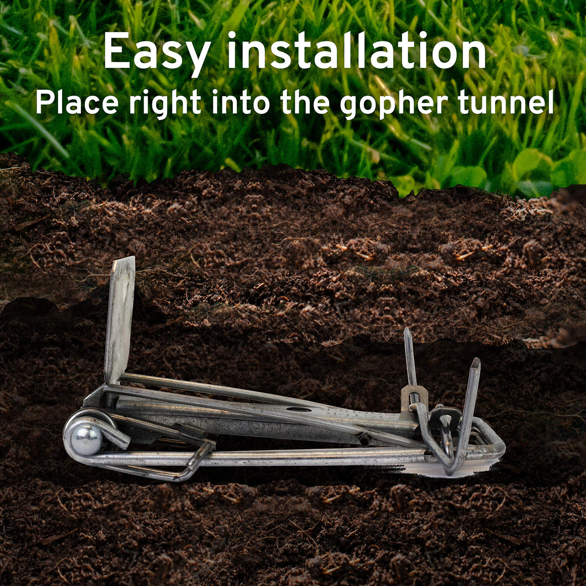 Victor Easy Set gopher trap below-ground parts reduce accidental triggers.