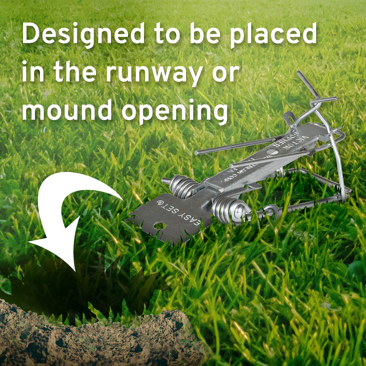 Victor Easy Set gopher trap narrow design eases tunnel placement and setup.