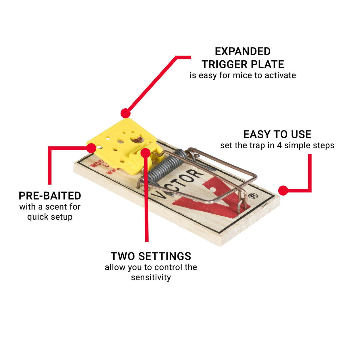 Victor EZ Set in-use trap positioned along wall to target rodent activity