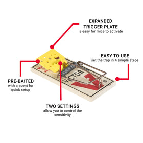 Victor EZ Set in-use trap positioned along wall to target rodent activity