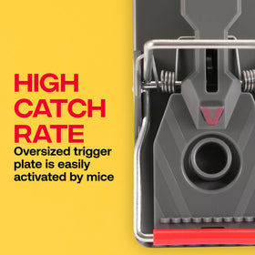 Victor family-safe mouse trap suitable for homes with kids and pets.