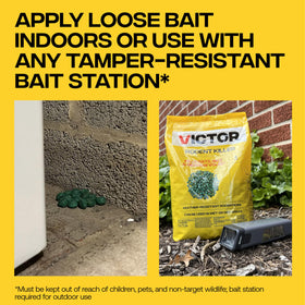 Fish-flavored Victor bait attracts rats and mice efficiently