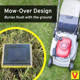 Victor solar powered spike with flush-ground installation for neat borders.