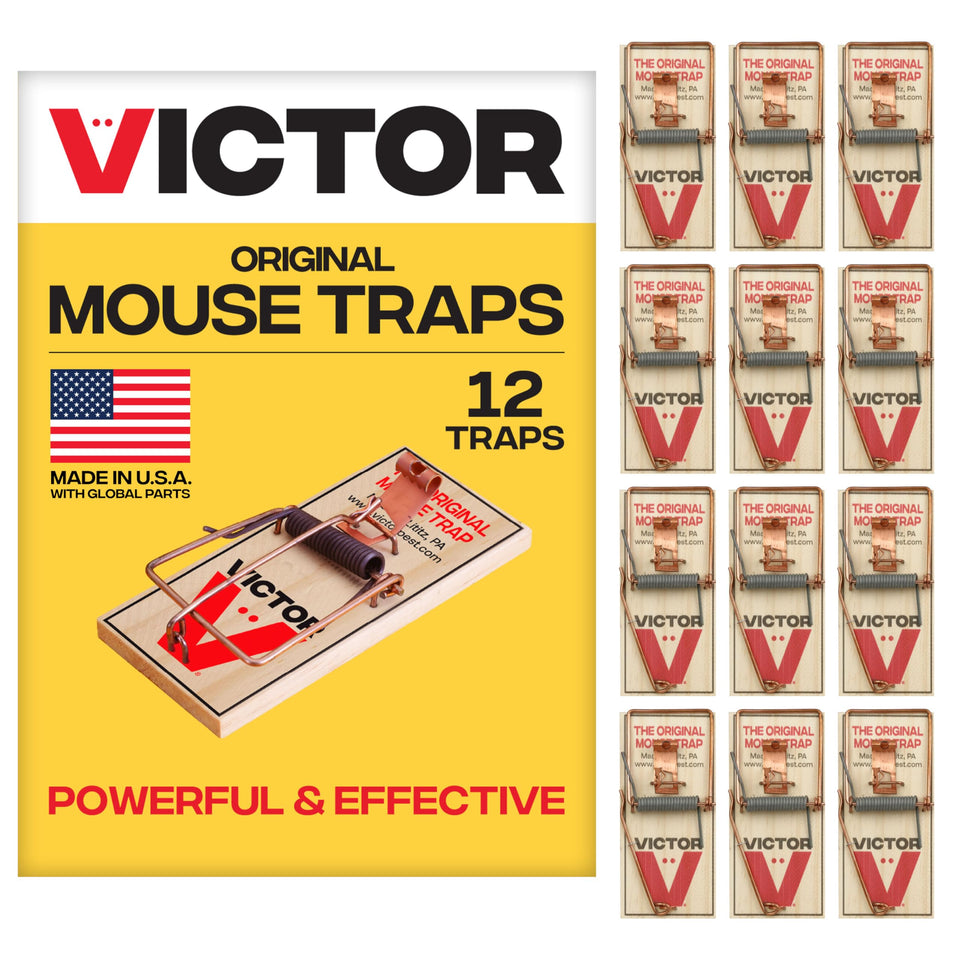 Victor M150-12 mouse trap with metal pedal for fast indoor control.
