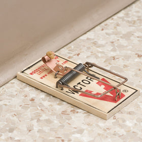 Victor M156 64-trap pack image showcases comprehensive pest control solution.