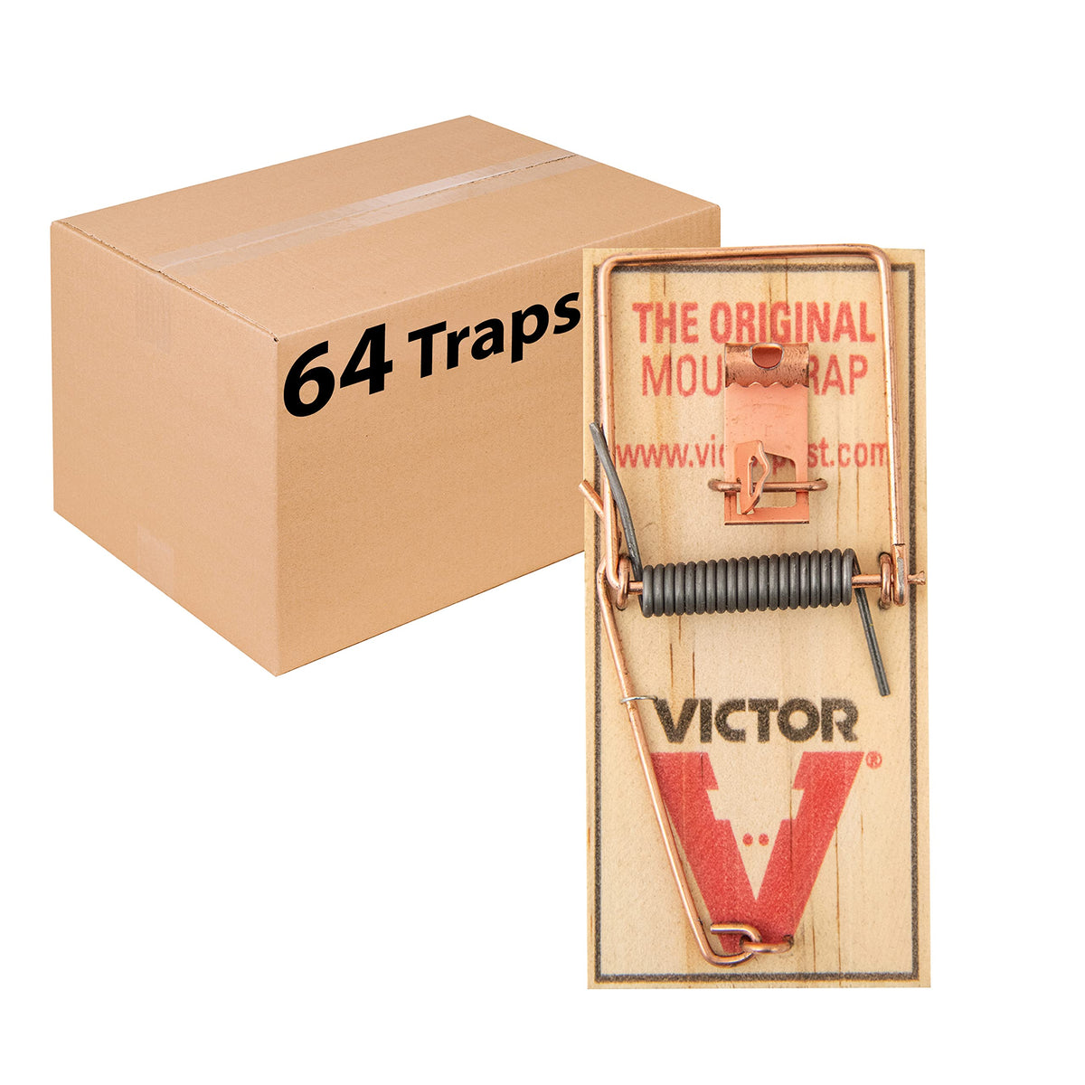 Victor M156 metal pedal trap setup demonstrates quick placement for rodent control.