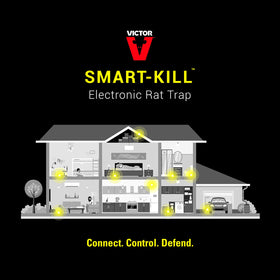 Victor M2 Smart-Kill indoor placement along walls for protection