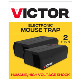 Victor M250BSR-2 trap front view highlighting compact indoor setup for walls.