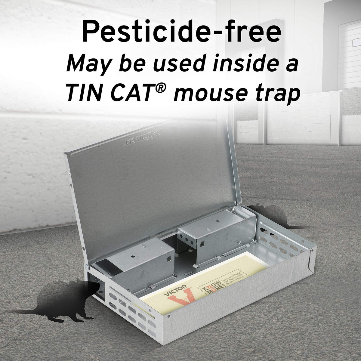 Victor M309 72-board pack provides bulk pest monitoring solution.