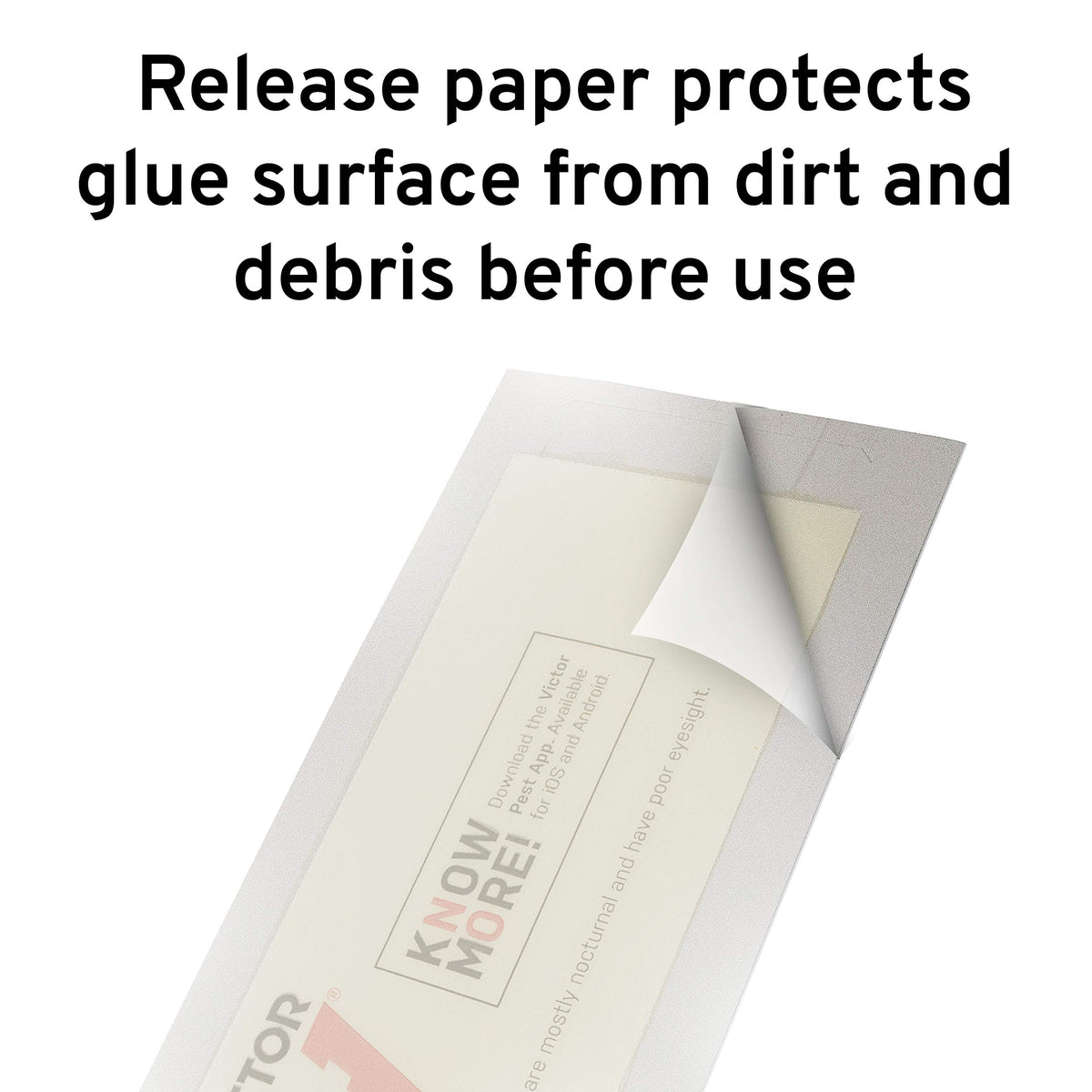 Victor M309 pre-baited glue board with synthetic peanut butter for quick detection.