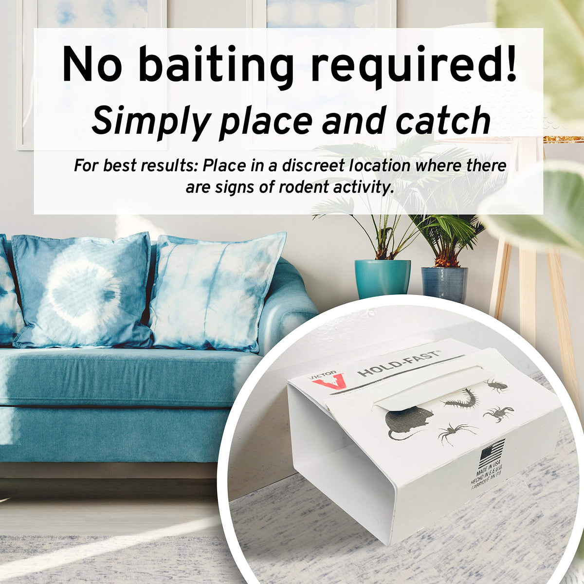 Victor M309 glue board with secure hold during pest monitoring.