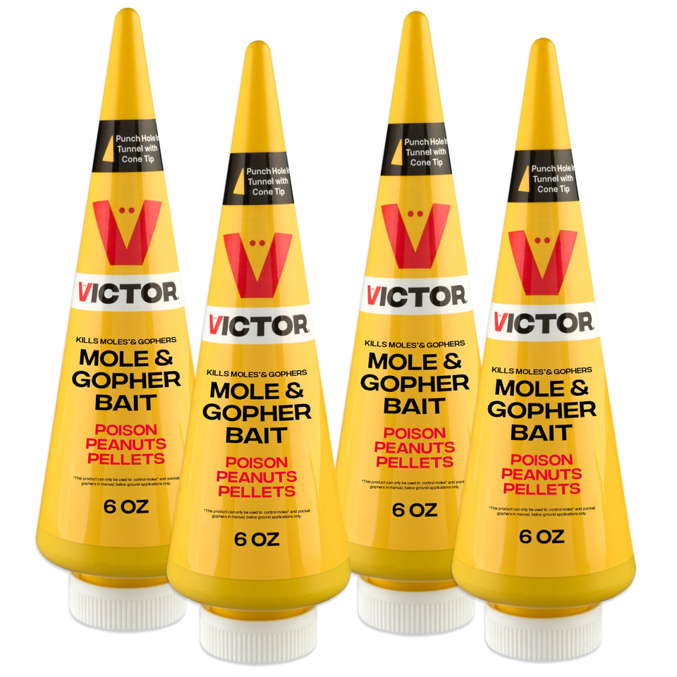 Victor M6006 peanut bait container ready for outdoor mole and gopher control.