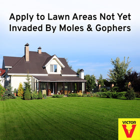 Victor M7001-1 water activates granules for soil release of deterrents