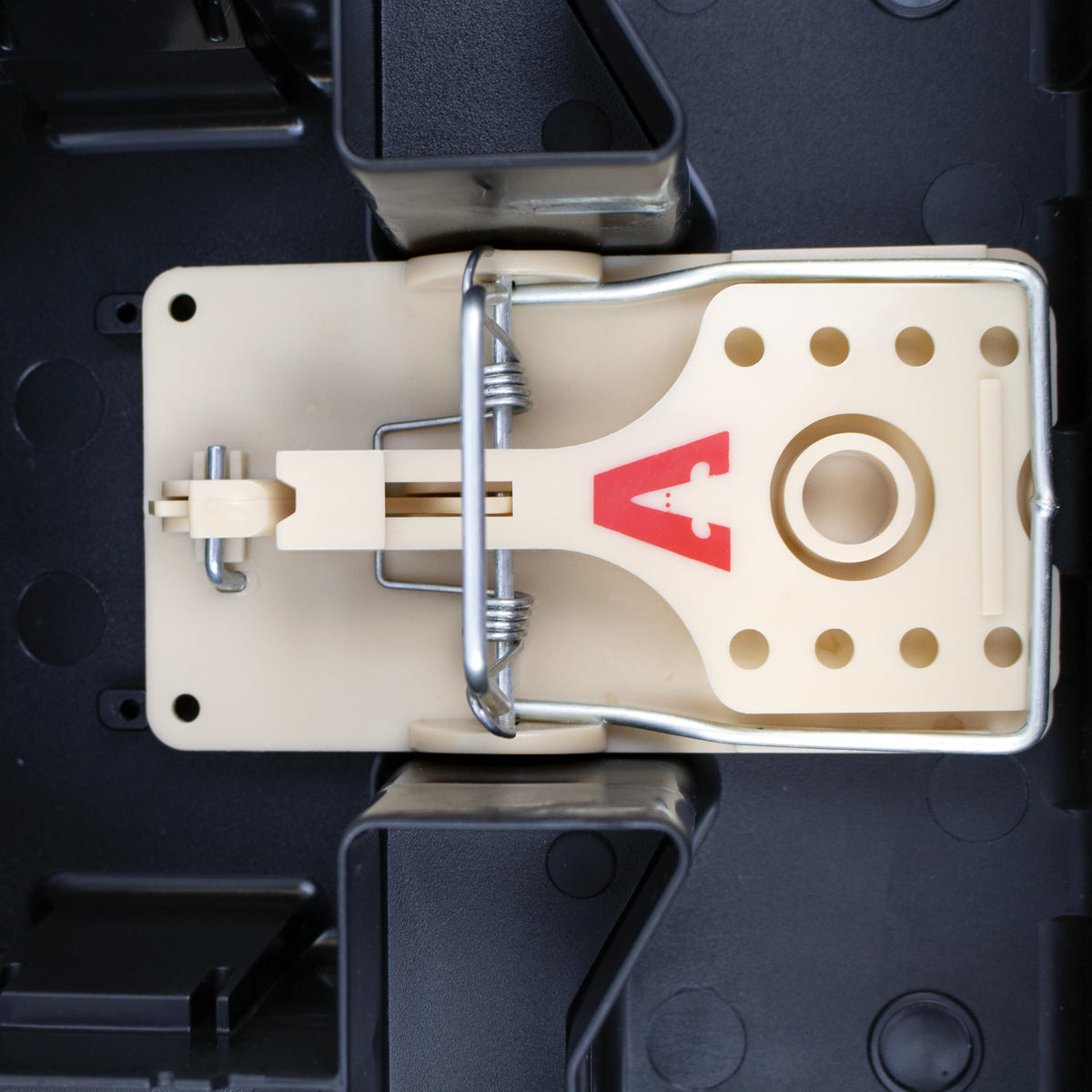 Victor bait-block compatibility offers versatile treatment options for infestations.