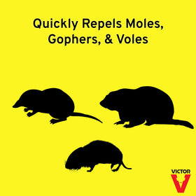 Victor Mole & Gopher Repellent bottle ready for outdoor use on large yards.