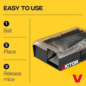 Victor trap with transparent lid makes catches visible.
