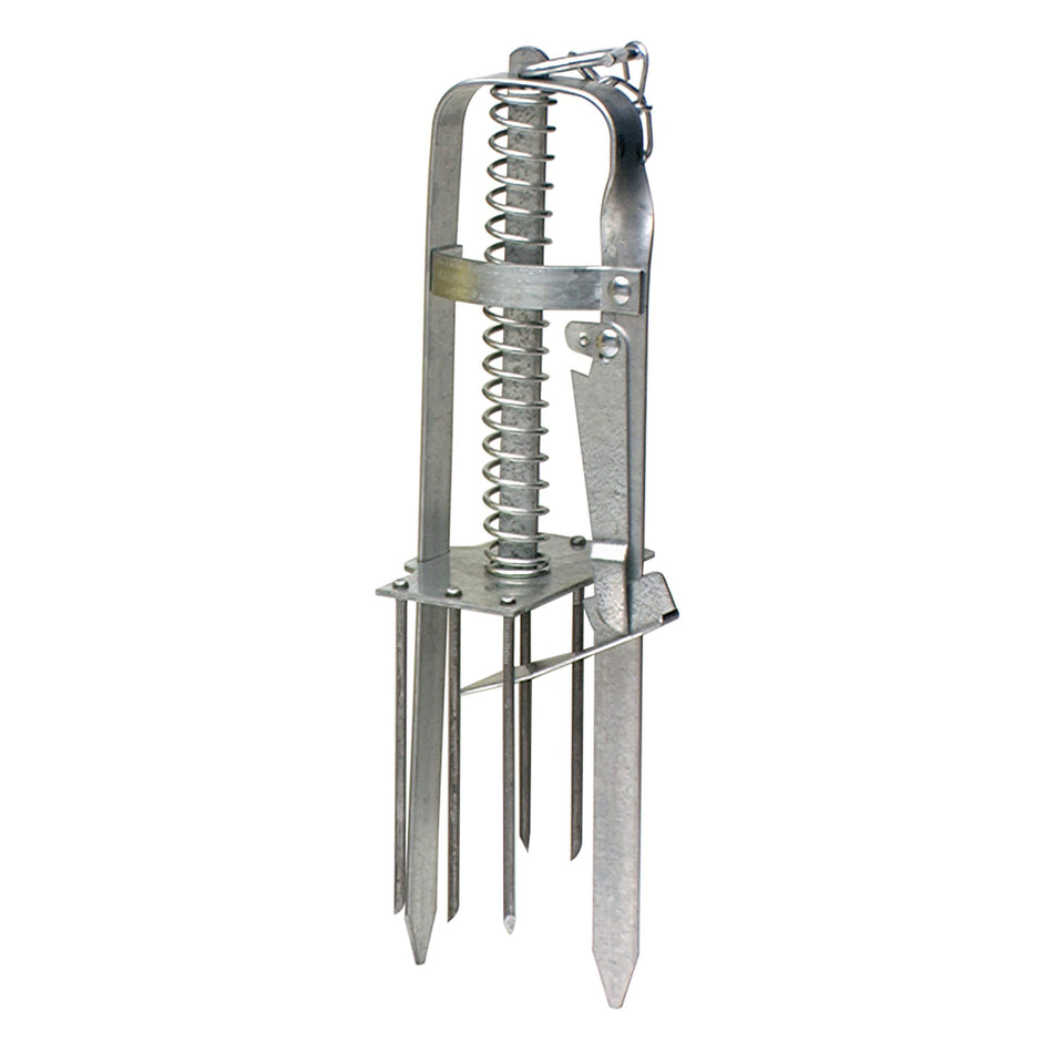 Victor Plunger Style Mole Trap ready to use in lawn