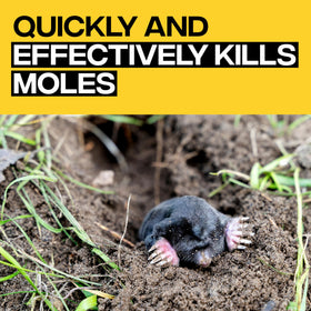Victor Poison Moleworms with five active tunnel locator flags for precise placement.