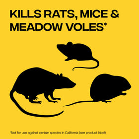 Victor rat poison indoors with bait ball for indoor rodent control