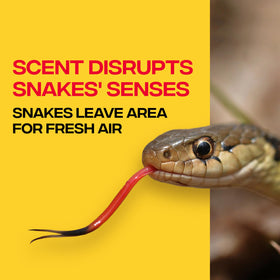 Close-up of white Snake-A-Way granules showing deterrence formula