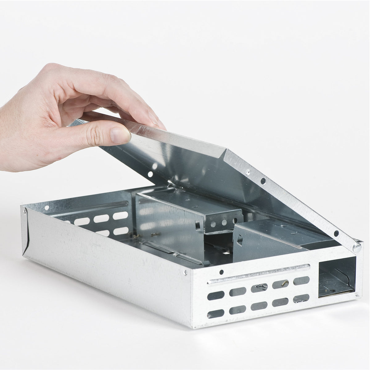 Victor Tin Cat trap-capacity-30-mice demonstrates high capacity for infestations.