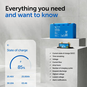 Victron Smart Shunt in-app insights display real-time battery health and status