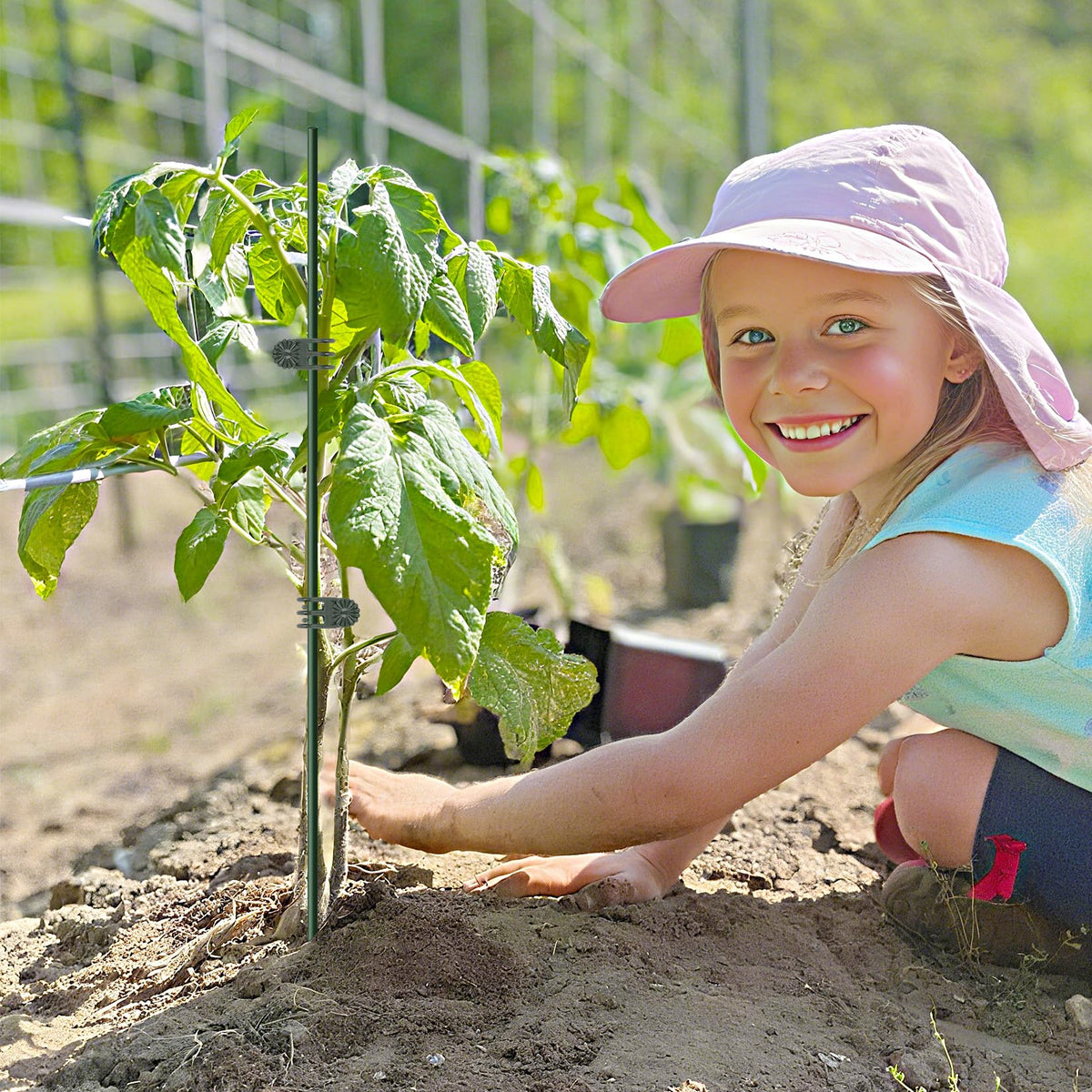 Vidroxin clip-and-stake set for potted plants helps tidy and support growth