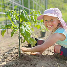 Vidroxin clip-and-stake set for potted plants helps tidy and support growth