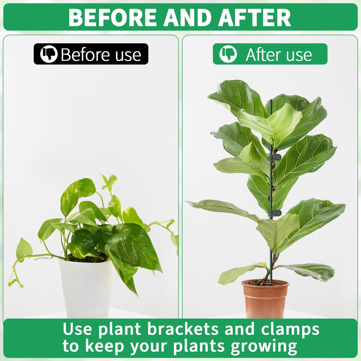 Vidroxin orchid rose peony support system helps graceful growth in pots