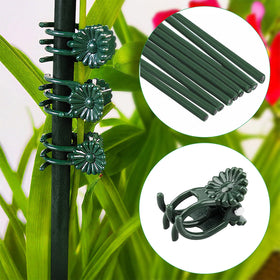 Vidroxin single-stem vine support sticks keep orchid, rose, or peony upright