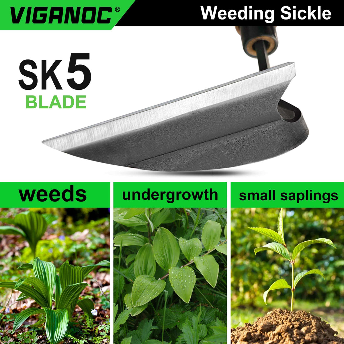 Viganoc polished edge stays sharp with regular maintenance