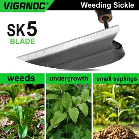 Viganoc polished edge stays sharp with regular maintenance