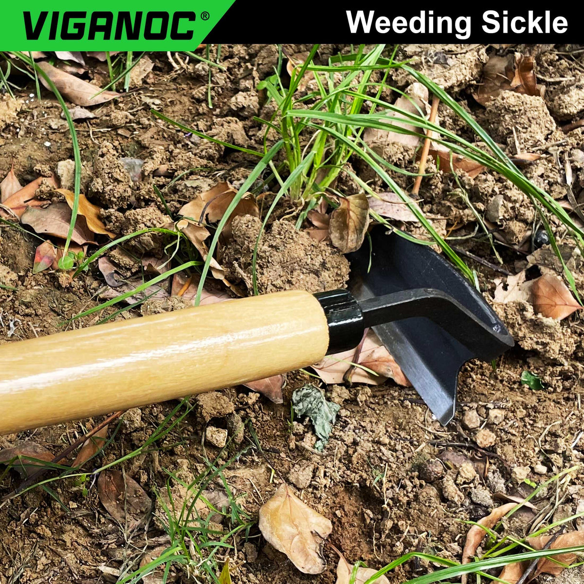 Viganoc SK5 high-carbon blade close-up shows durability and sharpness