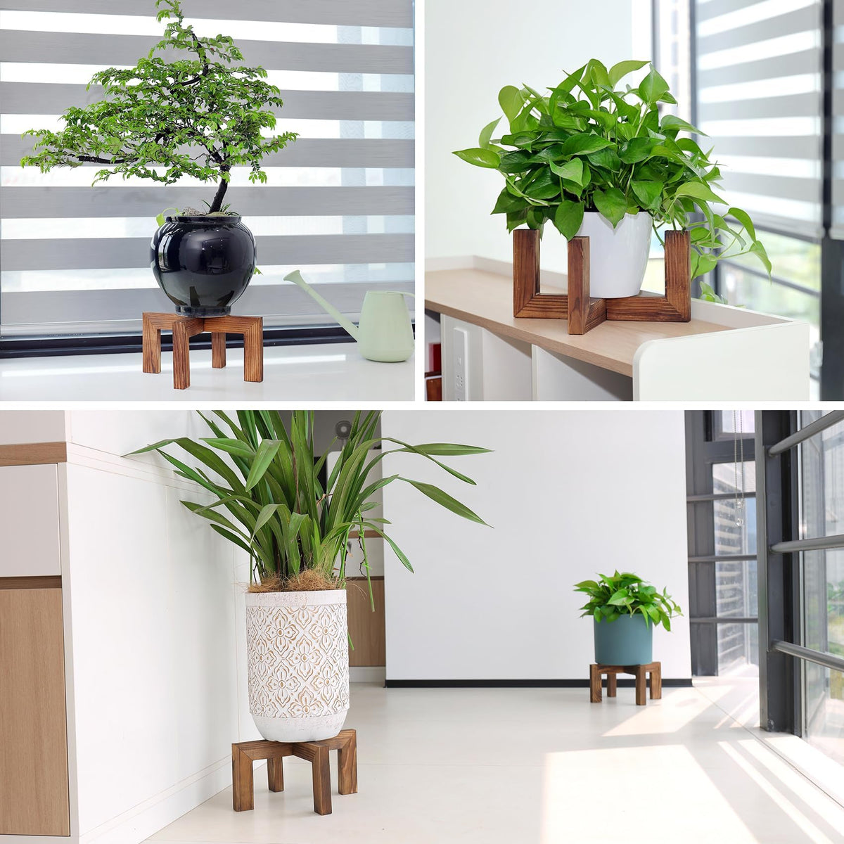 Vigordream plant stand easy-assembly image shows quick, tool-free setup.