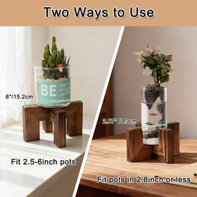 Vigordream Plant Stand with walnut finish highlights plants with elegant support.