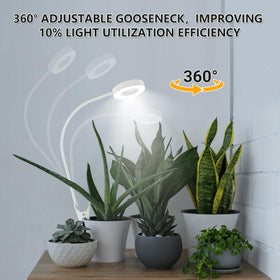 VIIVUU 10 level dimmer to fine tune brightness for seedlings
