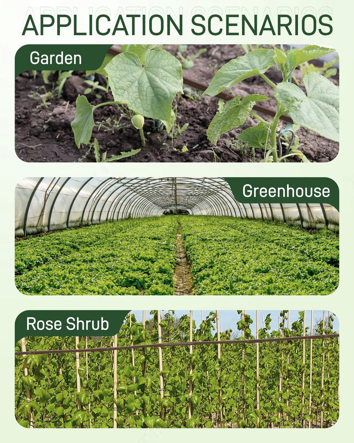 Vikua six-inch emitter spacing ensures uniform coverage across beds.