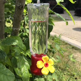 VIMOA four-pack hummingbird feeders for versatile multi-site feeding.