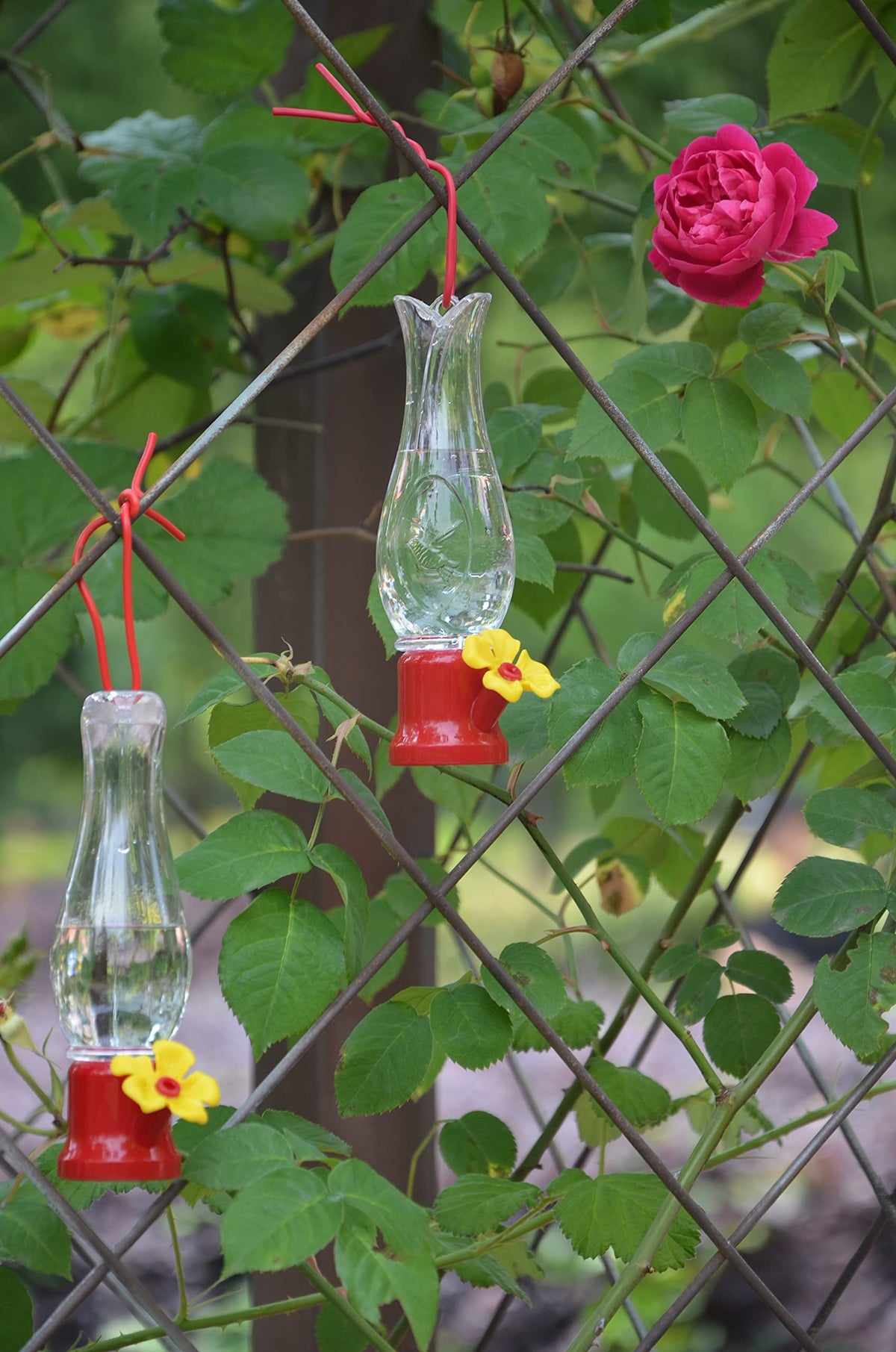 VIMOA mini hummingbird feeder four-pack set for rotating fresh feeding