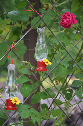 VIMOA mini hummingbird feeder four-pack set for rotating fresh feeding