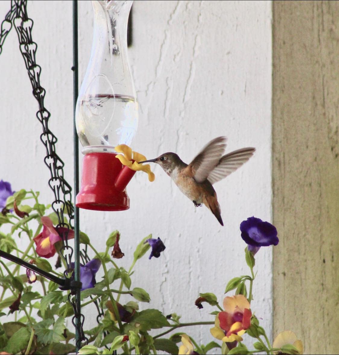 VIMOA mini hummingbird feeder compact size fits tight spaces
