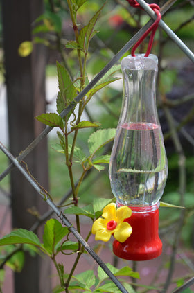 VIMOA mini hummingbird feeder leak-proof substructure for mess-free feeding