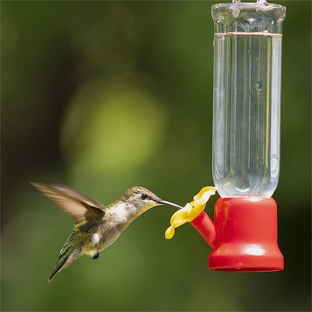 VIMOA mini hummingbird feeder in red plastic attracts birds to your backyard.
