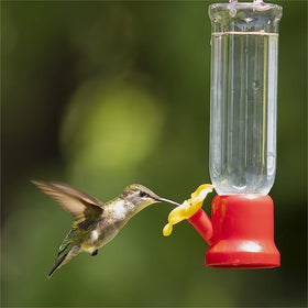 VIMOA mini hummingbird feeder in red plastic attracts birds to your backyard.