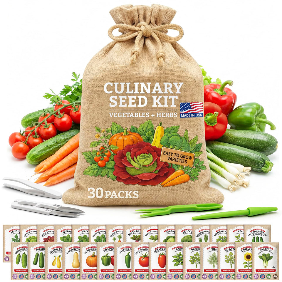 Vimtoba culinary seed pack with heirloom varieties ready for planting.