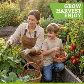 Vimtoba gift seed kit presentation for gardeners and cooks.