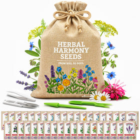Vimtoba medicinal herbs variety pack seeds ready for a home tea garden and herbal blends.
